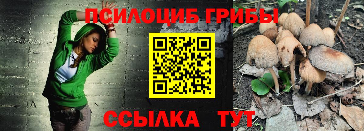 Псилоцибиновые грибы MAGIC MUSHROOMS  Псилоцибиновые грибы MAGIC MUSHROOMS  Спасск-Дальний  Вход с VPN 